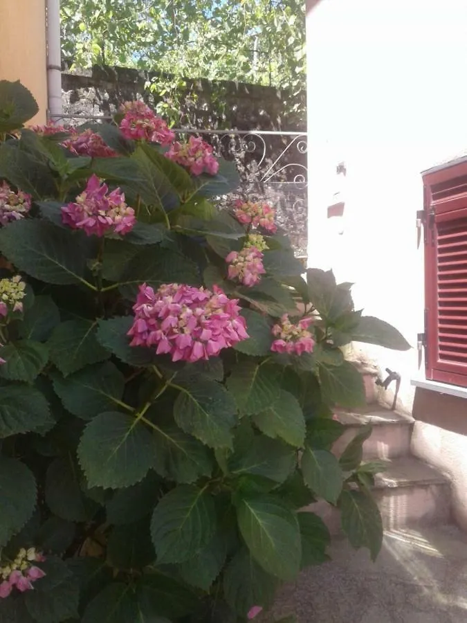 Apartmán Monolocale Per Coppia Carrodano Inferiore